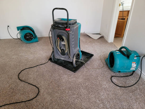 Best Water damage restoration near me  in Carthage, NC