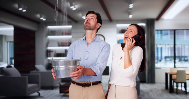Best Mold removal after water damage  in Carthage, NC